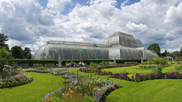Kew Gardens & Kew Palace: Admission Ticket