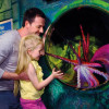 SEA LIFE London Aquarium - Same day Ticket