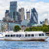 Thames Cruise: Westminster to Tower Bridge (Butler's Wharf) with optional return