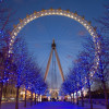 The London Top Sights Tour. Kids Free!