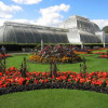 Visit Kew Gardens & 3 Hour Westminster Walking Tour